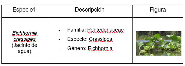 Interfaz de usuario gráfica, Aplicación

El contenido generado por IA puede ser incorrecto.