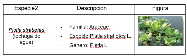 Interfaz de usuario gráfica, Aplicación

El contenido generado por IA puede ser incorrecto.