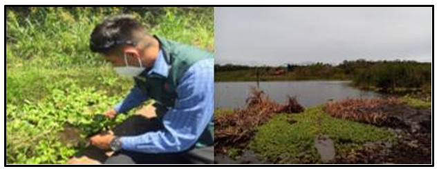 Hombre sentado en el pasto

El contenido generado por IA puede ser incorrecto.