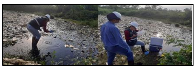 Una persona con un perro

El contenido generado por IA puede ser incorrecto.